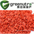 GMP Manufacturer Supply 100% Natural Wolfberry Extract